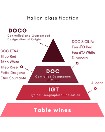 Understanding European & Italian Wine Classification Systems